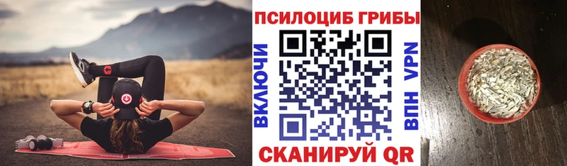 кракен онион  Никольск  Псилоцибиновые грибы ЛСД 