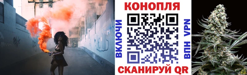 Бошки Шишки индика Никольск